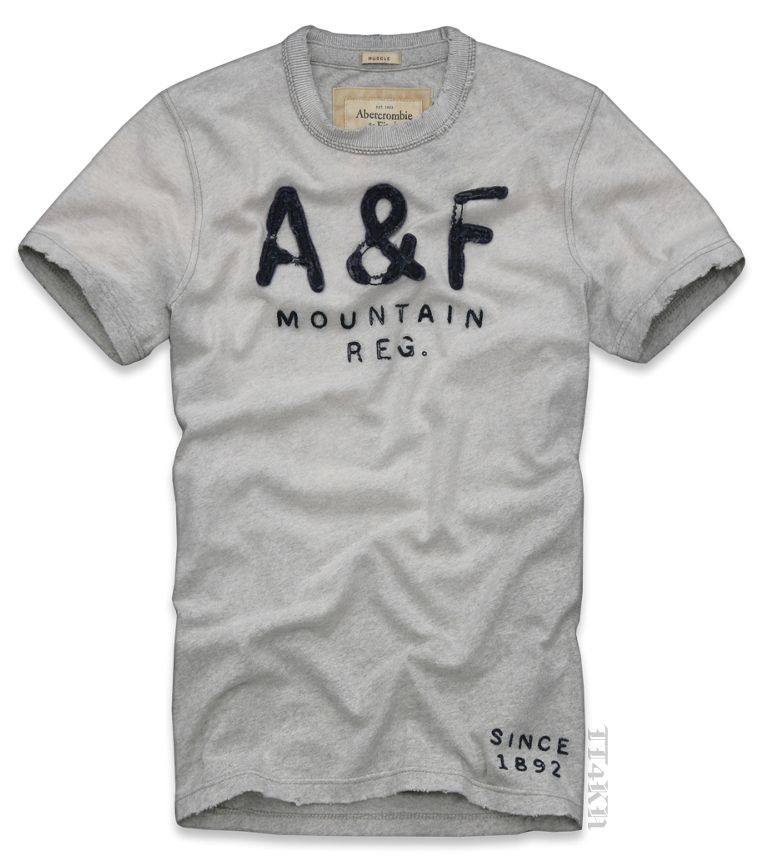 Abercrombie Fitch AF Mens Applique Graphic Tee T Shirt