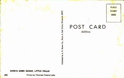 Postcard 1960 70 Greetings From Menomonie, Wisconsin Children Colt